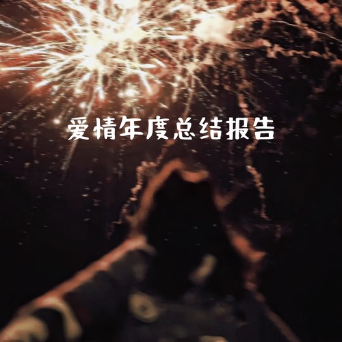 爱情年度总结报告