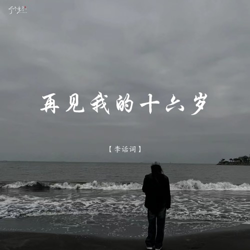 再见我的十六岁