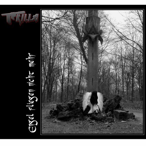 Engel fliegen nicht mehr