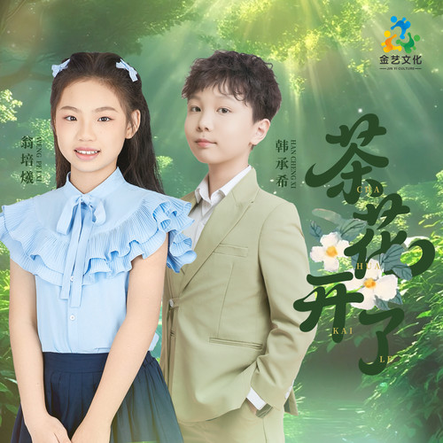 茶花开了