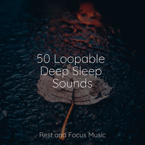 50 Loopable Deep Sleep Sounds