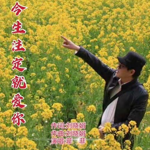 今生注定就爱你