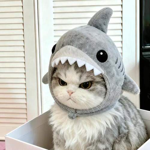 时间会让酸涩的浆果愈发甜腻