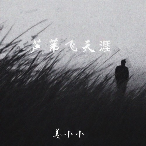 芦苇飞天涯（治愈版）