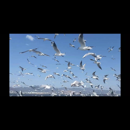 干了黑怕这碗酒