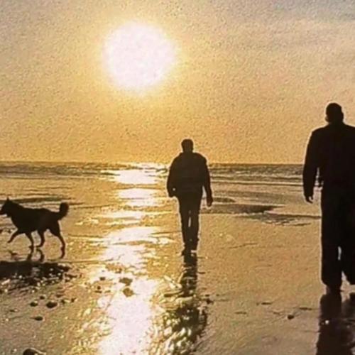 J'ai vu mes larmes (feat. BABYBOY) [Explicit]