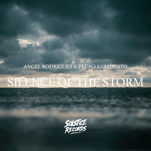 Silence Of The Storm (Original Mix)