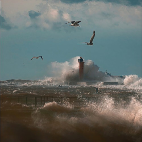 如果秋天有绝笔