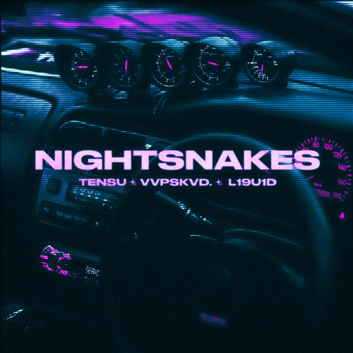 Nightsnakes (Explicit)