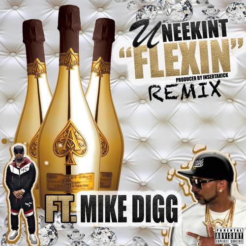 Flexin (feat. Mike Digg) [Explicit]