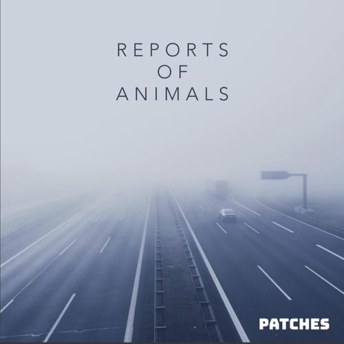 Reports of Animals