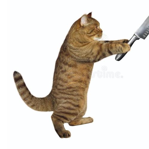 Dont even listen to this song kys (feat. wifiskeleton )