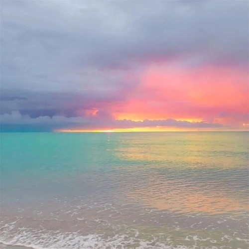 天上掉下个林妹妹(天葩飞堕广寒宫)