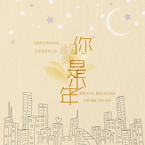 你曾是少年