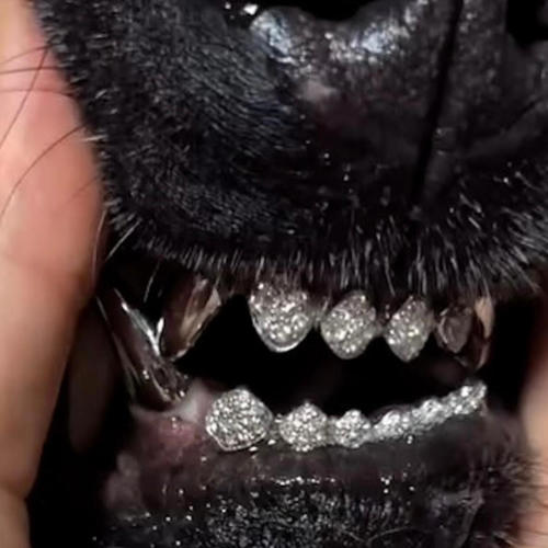 Is it a crime ? (Explicit)