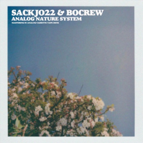 Analog Nature System