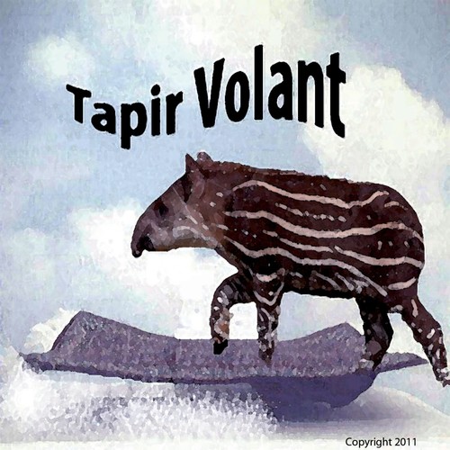 TapirVolant