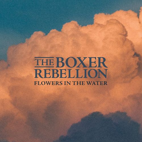 Flowers In The Water