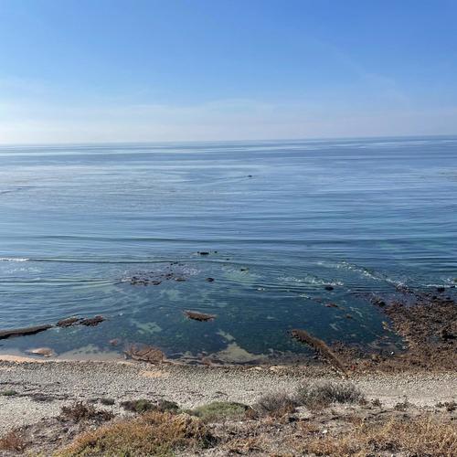 DID YOU REACH FOR THE AUX?!