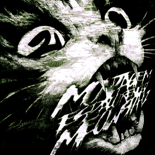 Montagem Espaco Renicht 2 Meowsith