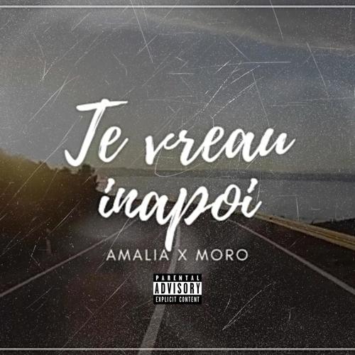 Te vreau înapoi (feat. Amalia) [Explicit]