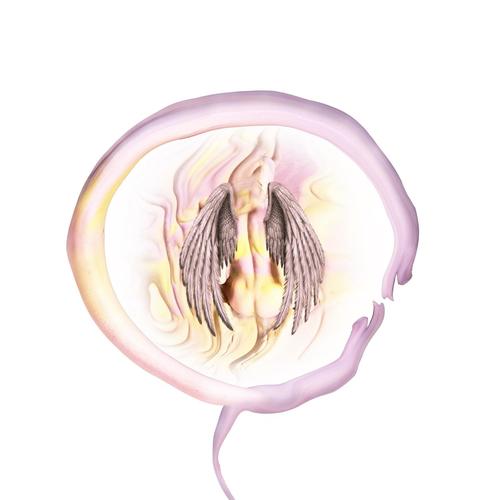 Dream // Bug