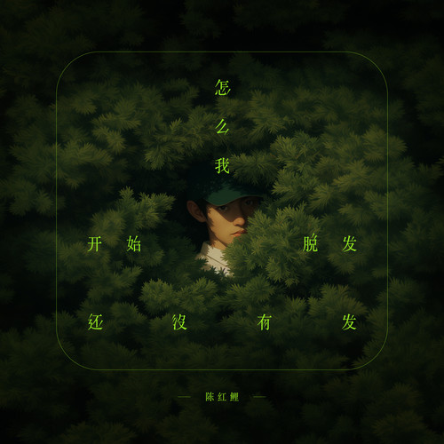 怎么我开始脱发还没有发