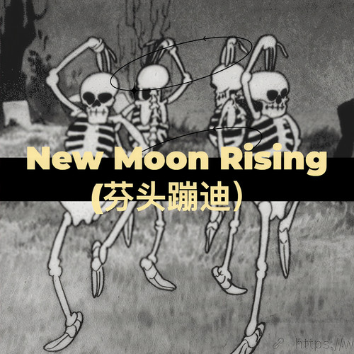 New Moon Rising (芬头蹦迪)