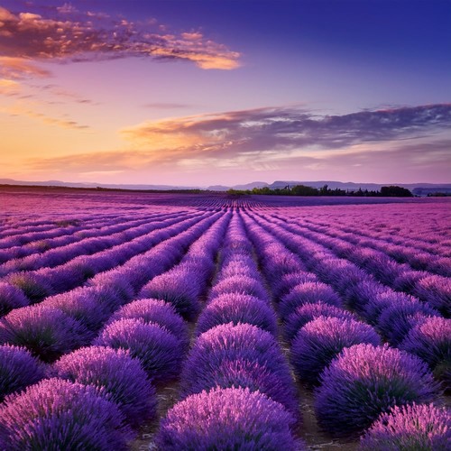 Music For Exploring New Worlds And Finding Peace