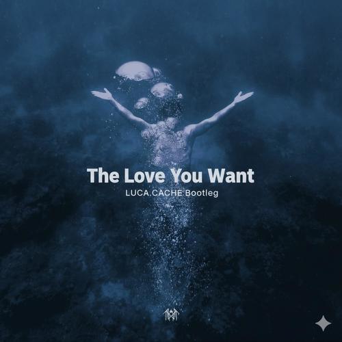 The Love You Want (LUCA.CACHE Bootleg)