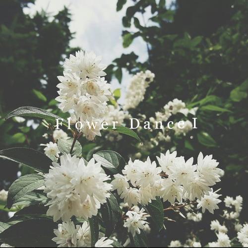 花舞I