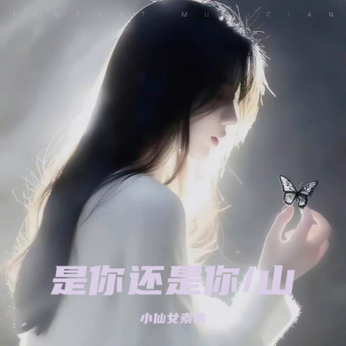 是你还是你/山