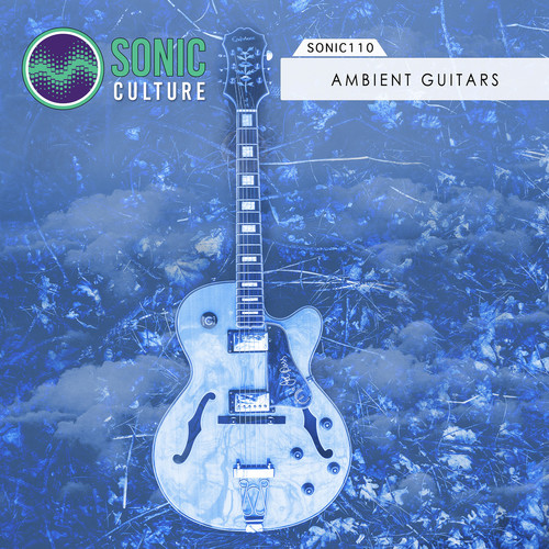 Ambient Guitars