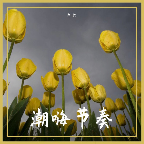 潮嗨节奏