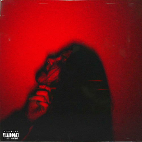 You're An Animal (Explicit)