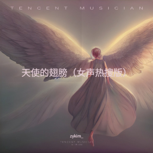 天使的翅膀（女声热搜版）