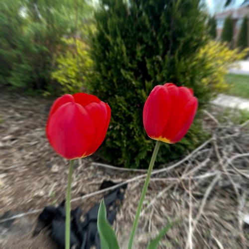 Anywhere With You (feat. Rayleigh)