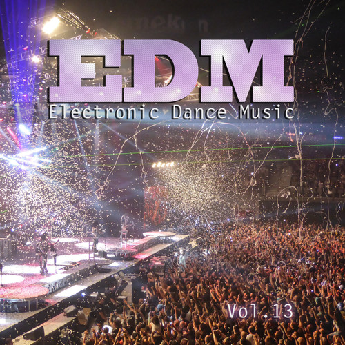 Electronic Dance Music, Vol. 13