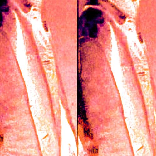 dylemma (feat. jonts) [Explicit]