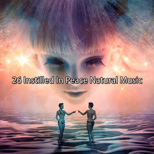 26 灌输和平自然音乐