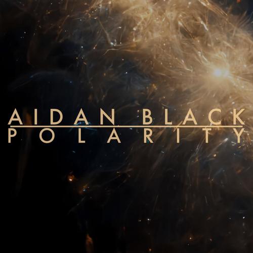 Polarity (feat. RO1)
