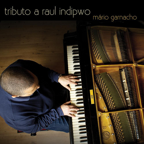 Tributo a Raul Indipwo (feat. Mário Garnacho)