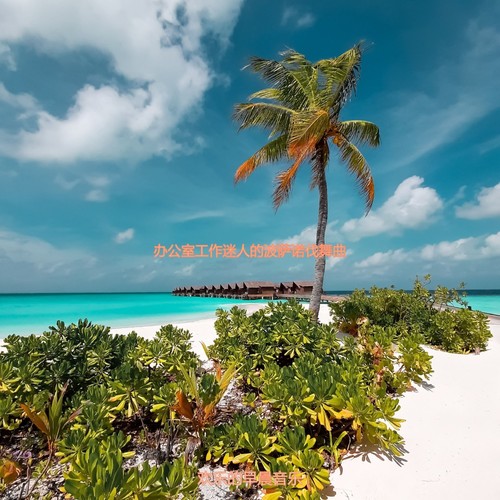 办公室工作迷人的波萨诺伐舞曲