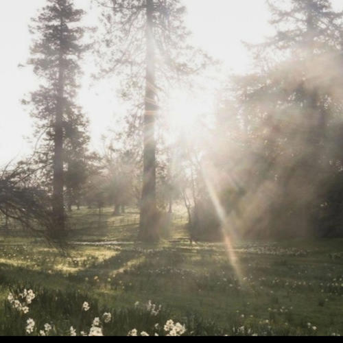 How I Feel (Explicit)