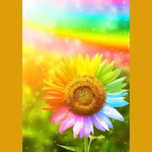 向阳花木易为春