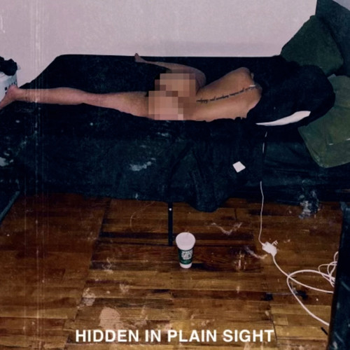 Hidden in Plain Sight - Instrumentals
