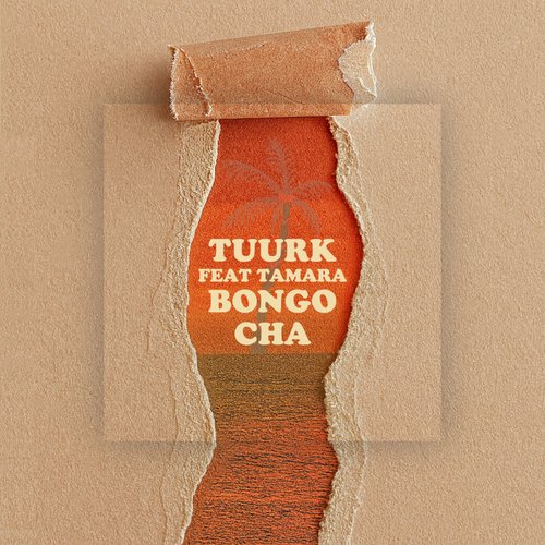 Bongo Cha