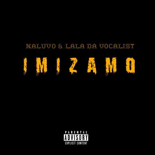 Imizamo (feat. Lala Da Vocalist)