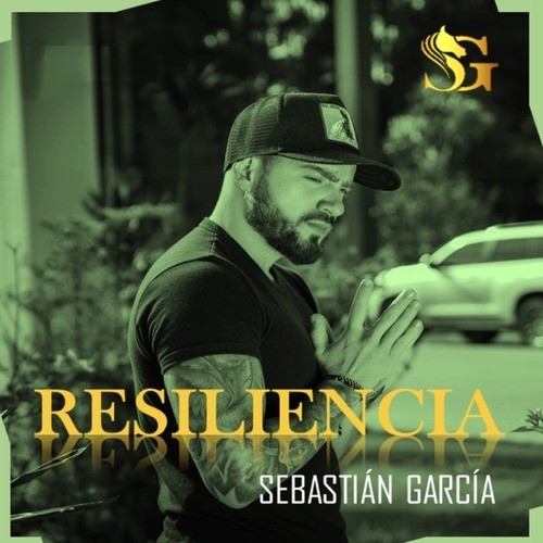 Resiliencia