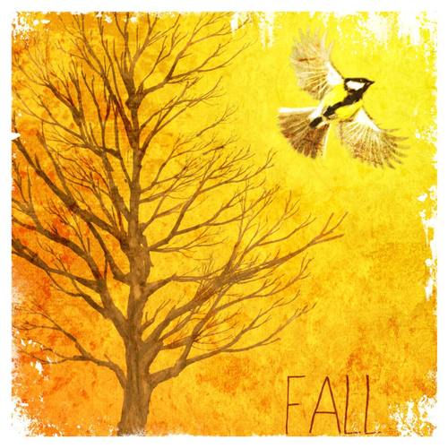 Fall